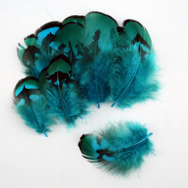 Plumes de faisan naturelles DI - Wedding Supply In Bulk avis et prix