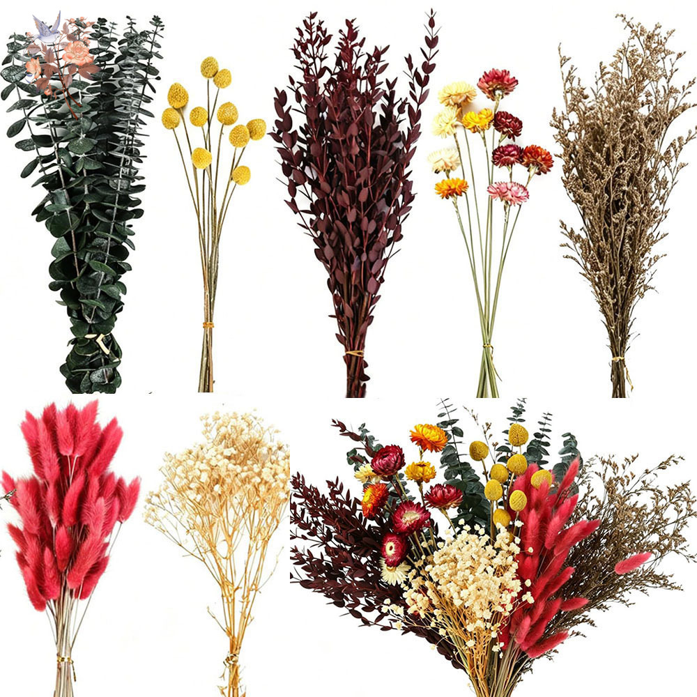 Ensemble de fleurs séchées en  - Wedding Supply In Bulk avis et prix