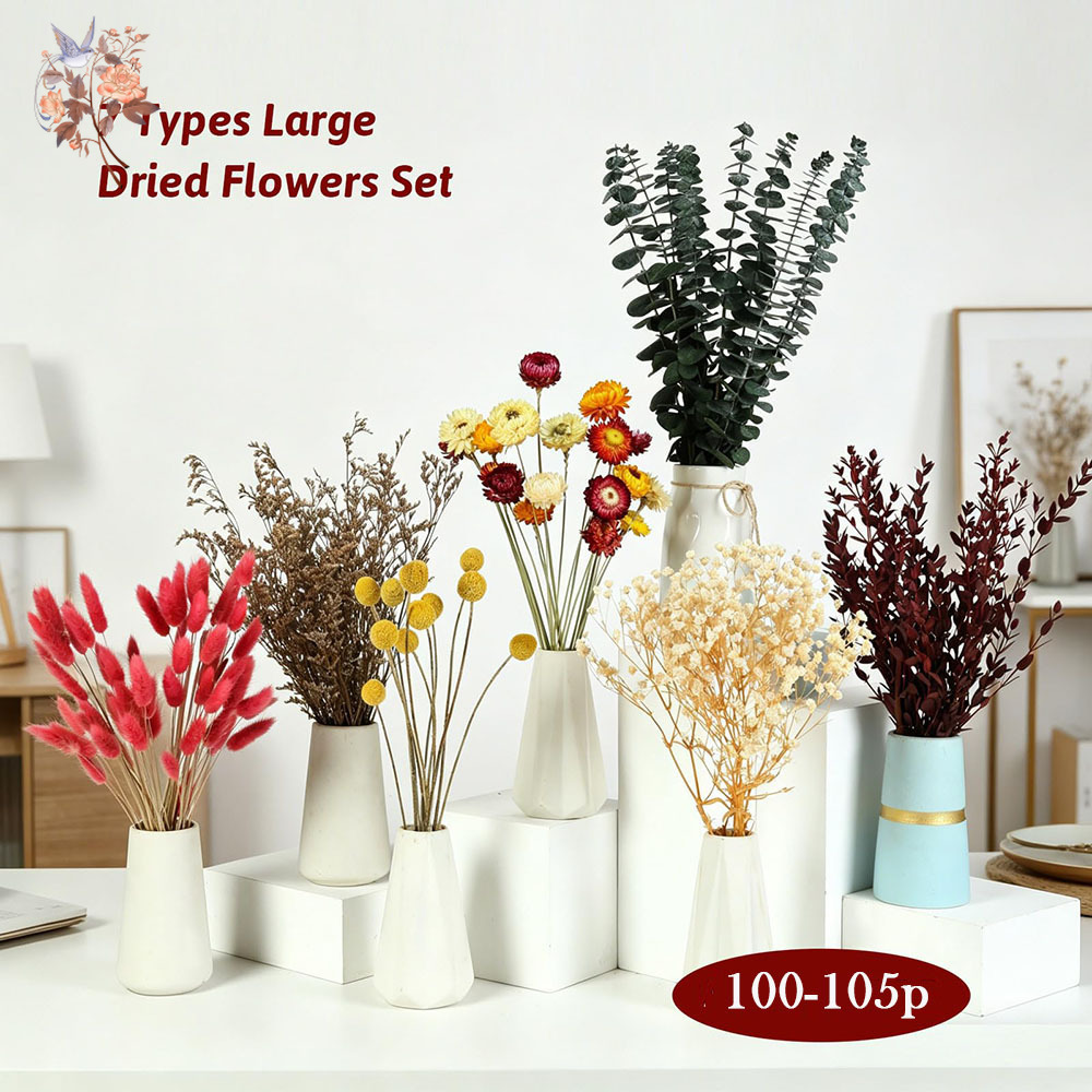 Ensemble de fleurs séchées en  - Wedding Supply In Bulk avis et prix