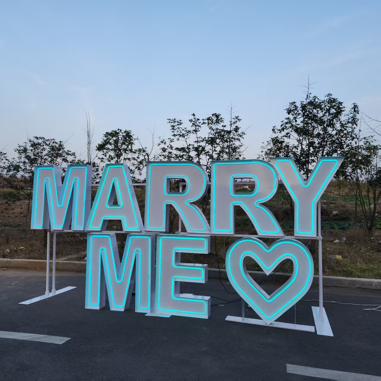 MARRY ME Enseigne lumineuse LE - Wedding Party Supply Rentals avis et prix