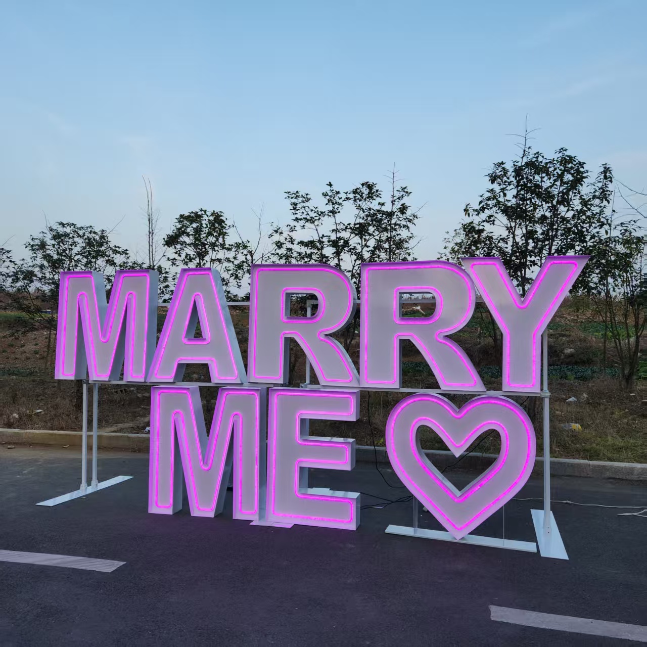 MARRY ME Enseigne lumineuse LE - Wedding Party Supply Rentals avis et prix