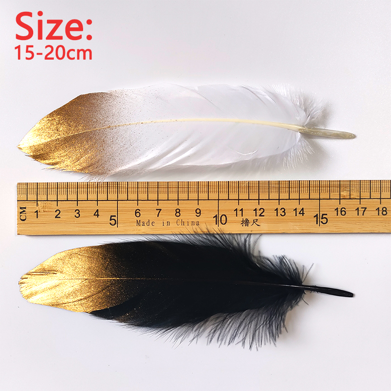 Plumes noires et blanches de 1 - Centerpiece Vase Tall avis et prix